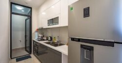 Chuyên cho thuê các căn hộ ở Vinhomes Golden River Ba Son 1,2,3,4 PN giá tốt nhất thị trường