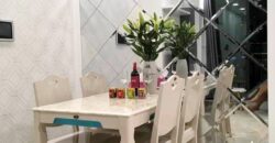 Vinhomes Golden River BaSon 2 phòng ngủ: Từ 20 – 40 triệu/tháng. DT 68 – 90m