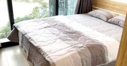 Vinhomes Golden River BaSon 2 phòng ngủ: Từ 20 – 40 triệu/tháng. DT 68 – 90m