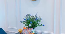 Cho thuê căn hộ chung cư tại Vinhomes Golden River Ba Son