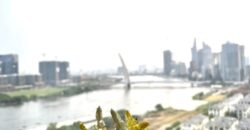 Căn hộ cao cấp tại Vinhomes Golden River giá tốt nhất thị trường