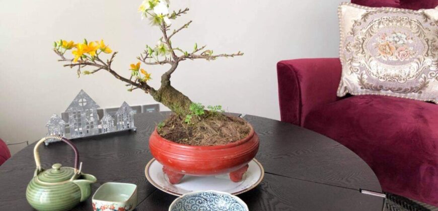 Cập nhật giỏ hàng cho thuê căn hộ mới nhất tại Vinhomes Golden River