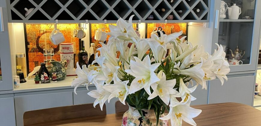Cho thuê căn hộ chung cư Phú Hoàng Anh, 9 triệu, 88 m2, giá siêu hời